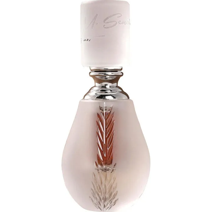 M. Sentiment Coincidenza (Perfume Oil) perfume bottle