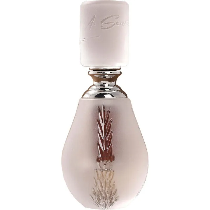 M. Sentiment Oud Noud perfume bottle