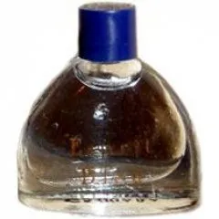 René Garraud Esprit Bleu parfüm şişesi