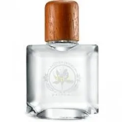 Saffron James Ipo perfume bottle