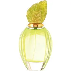Junaid Perfumes Hadaeq (2022) / حدائق parfüm şişesi