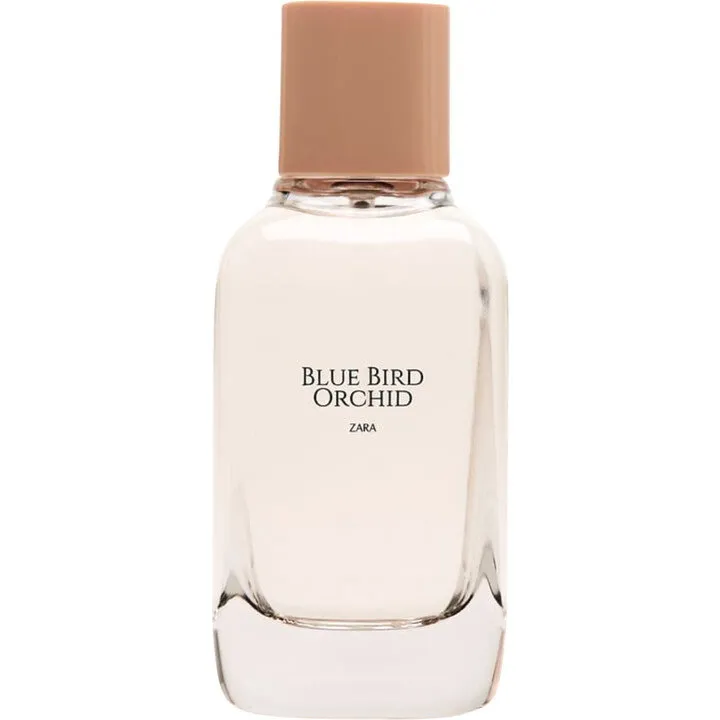 Zara Blue Bird Orchid perfume bottle