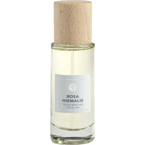 Rosae Virtus Rosa Hiemalis parfüm şişesi