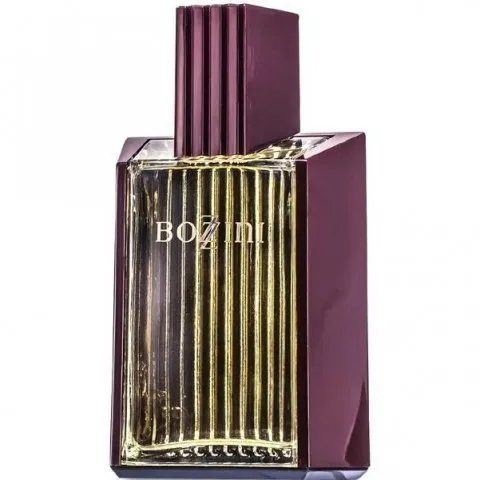 Bozzini Men (Eau de Toilette) perfume bottle