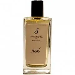 Fueguia 1833 Iberá parfüm şişesi