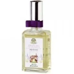 Speziali Fiorentini Lavanda parfüm şişesi