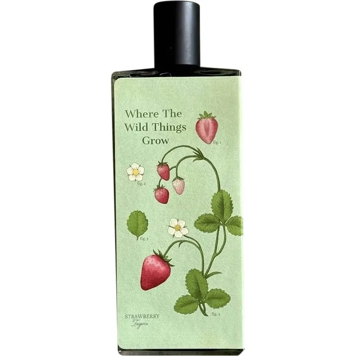 Sorce Where the Wild Things Grow - Version II (Eau de Parfum) parfüm şişesi