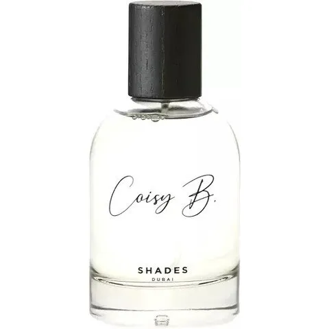 Coisy B. Shades perfume bottle