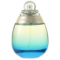 Estēe Lauder Beyond Paradíse Blue parfüm şişesi