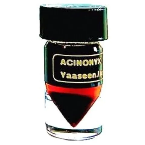Yaaseen Acinonyx parfüm şişesi
