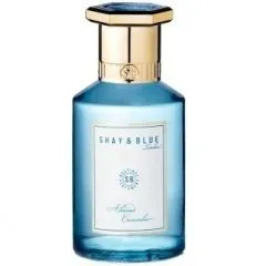 Shay & Blue Almond Cucumber parfüm şişesi