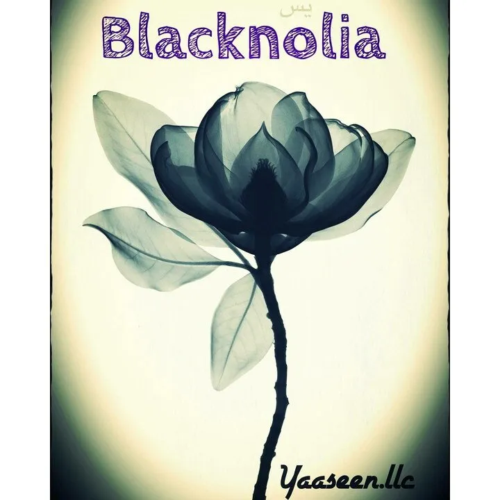 Yaaseen Blacknolia parfüm şişesi