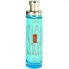 Eclectic Collections Saga perfume bottle