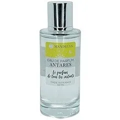 Mandelys Le parfum de tous les instants - Antares perfume bottle