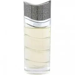 Rasasi Truly for Men parfüm şişesi