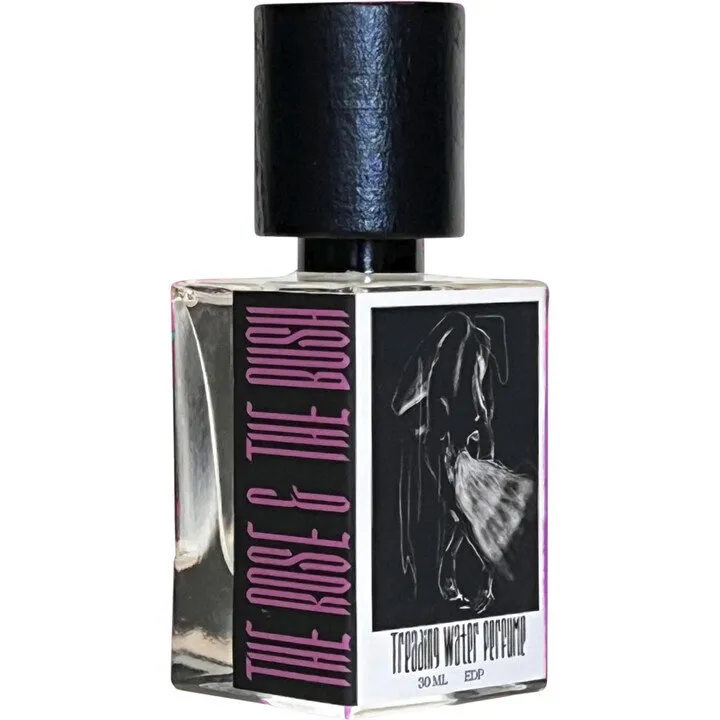 Treading Water Perfume The Rose & The Bush parfüm şişesi