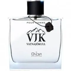 Gydja Collection VJK Vatnajökull pour Homme parfüm şişesi