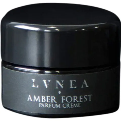 Lvnea Amber Forest (2024) parfüm şişesi