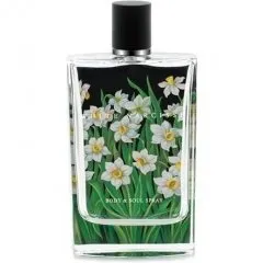 Nest White Narcisse parfüm şişesi