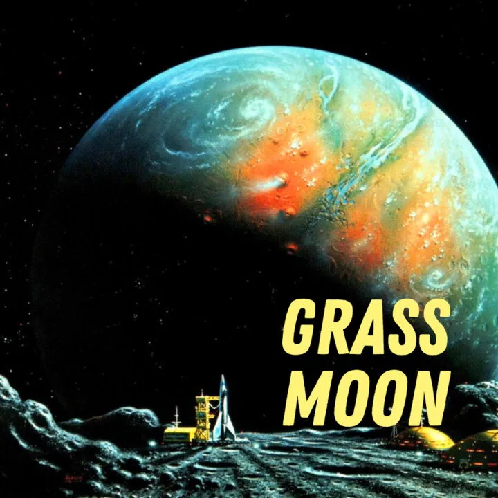 Pulp Fragrance Grass Moon parfüm şişesi