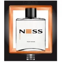 Evaflor Ness Intense parfüm şişesi