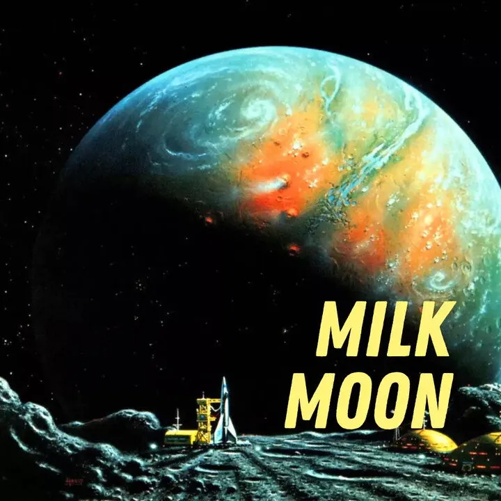 Pulp Fragrance Milk Moon perfume bottle