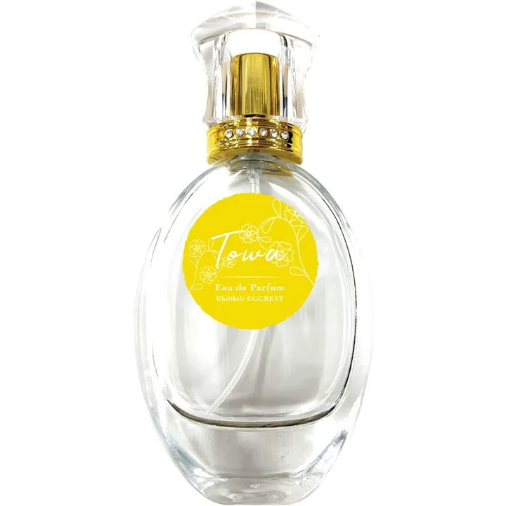 Fairytail Parfum Towa / トワ parfüm şişesi