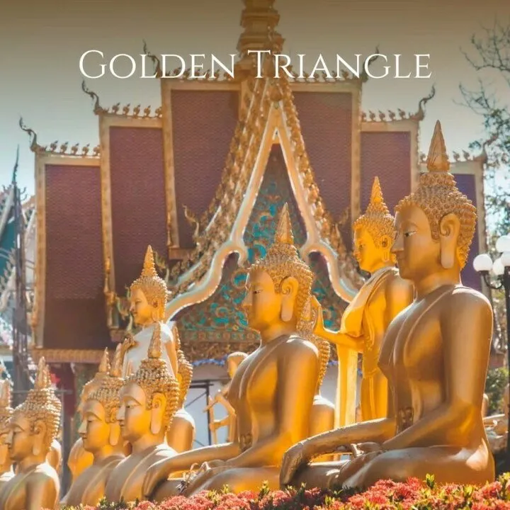 mesOud Golden Triangle parfüm şişesi