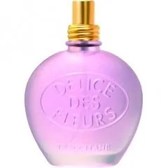 L'Occitane en Provence Délice des Fleurs - Rose & Violette parfüm şişesi