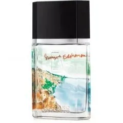 Azzaro pour Homme Summer 2013 parfüm şişesi