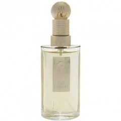 Montana Suggestion Eau d'Argent parfüm şişesi