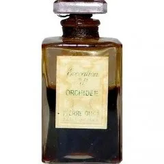 Pierre Dune Evocation d'Orchidée perfume bottle