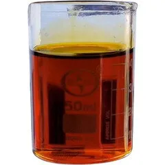 Scent Talks Salsabeel parfüm şişesi