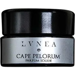 Lvnea Cape Pelorum parfüm şişesi