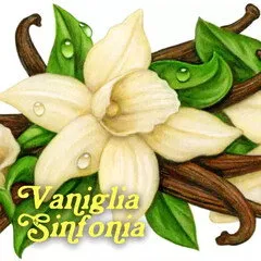 Pulp Fragrance Vaniglia Sinfonia parfüm şişesi