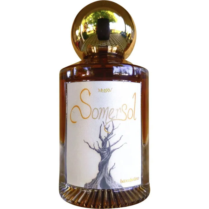 Havenhollow Somersol (2024) perfume bottle