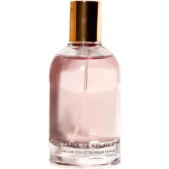 Zara Textures - Pink perfume bottle