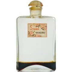 Bruno Storp Wangway perfume bottle