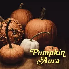 Pulp Fragrance Pumpkin Aura parfüm şişesi