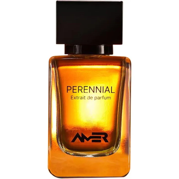 Amer Alradhi Perennial perfume bottle
