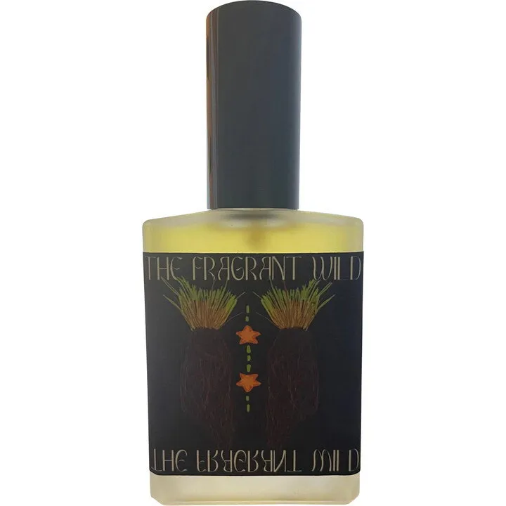 Botica Botanica Rich Vetiver parfüm şişesi