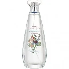 Bronnley Sweet Pea parfüm şişesi