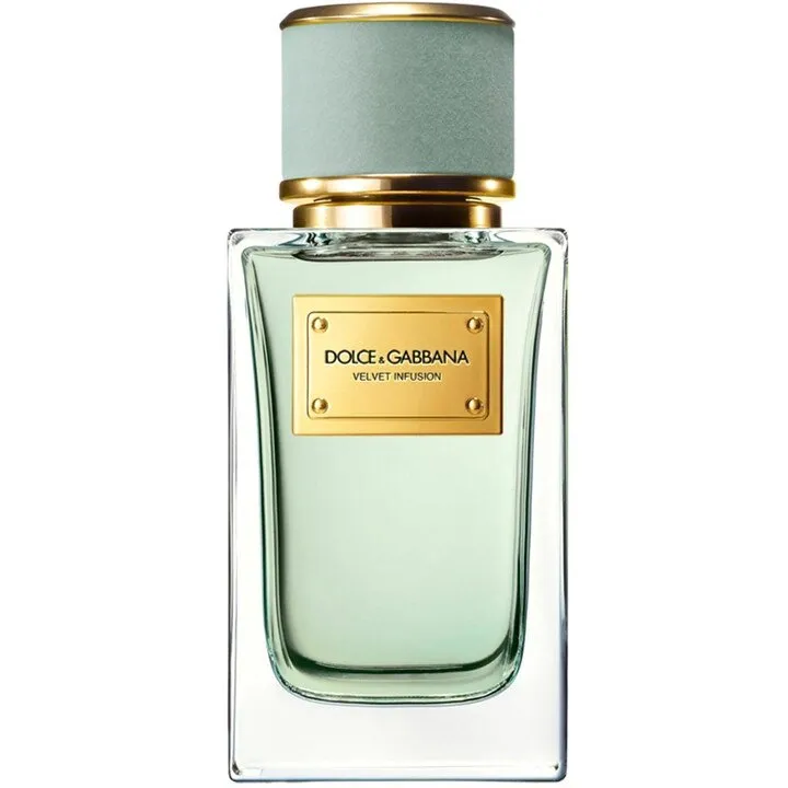 Dolce & Gabbana Velvet Infusion perfume bottle