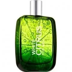 Bath & Body Works White Citrus for Men parfüm şişesi