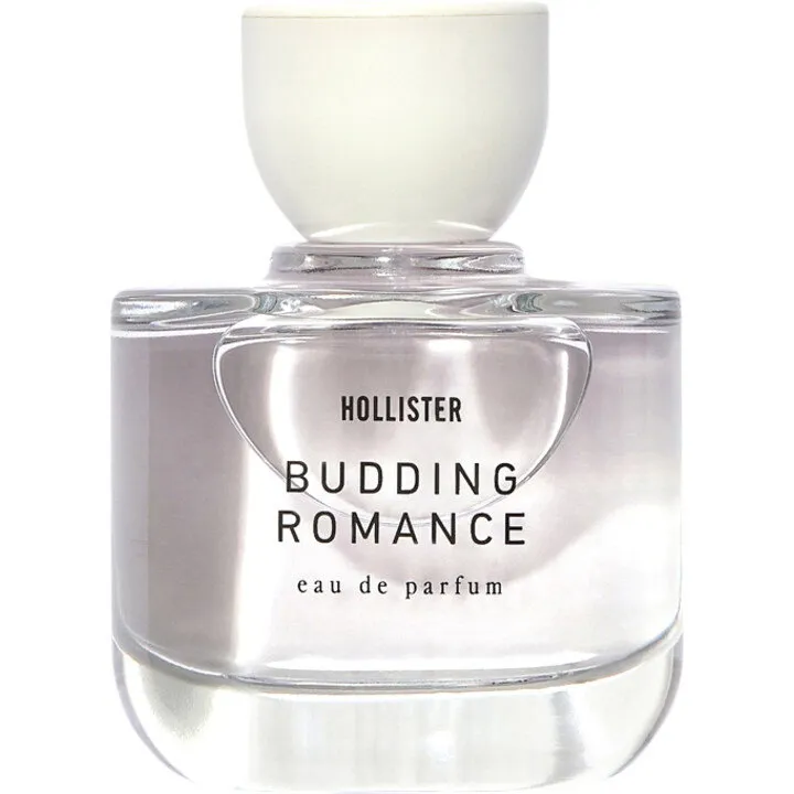 Hollister Budding Romance parfüm şişesi