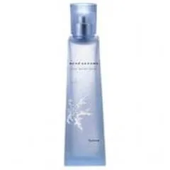 René Lezard Silver Winter Dream Homme parfüm şişesi