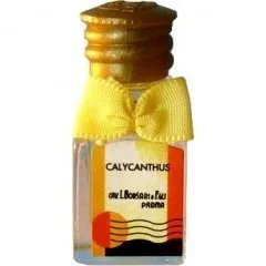Borsari 1870 Calycanthus parfüm şişesi