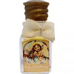 Borsari 1870 Philadelphus parfüm şişesi