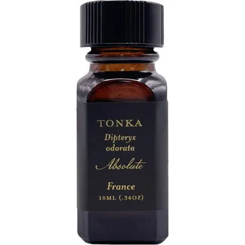For Strange Women Single Essence of Tonka perfume bottle