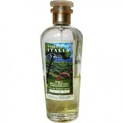 Borsari 1870 Viaggio in Italia - Acqua Della Macchia Mediterranea parfüm şişesi